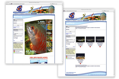 Oxford Web Graphics Design