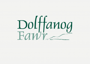 DolfanogFawr